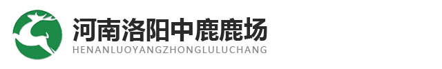 洛阳中鹿鹿场